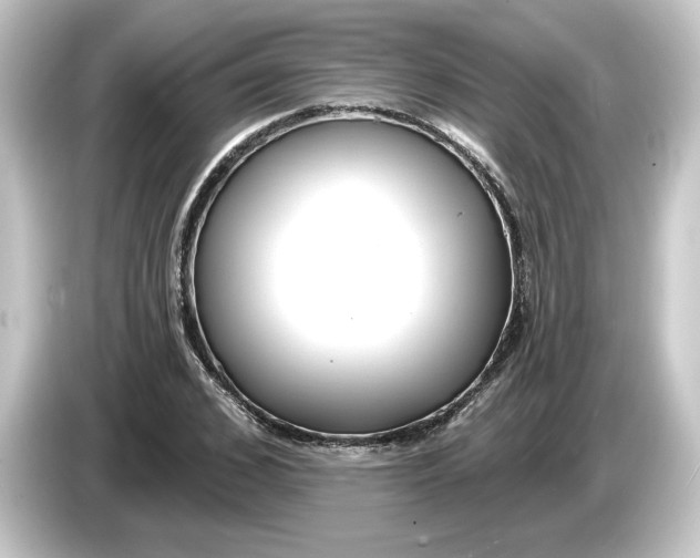 X0000084540976200703161625