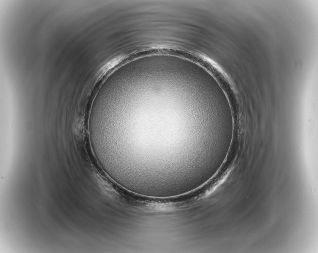 X0000084540977200703161625