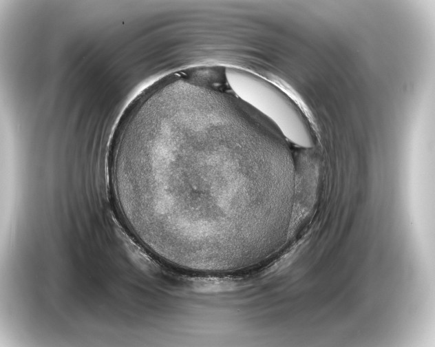 X0000084540980200703161625