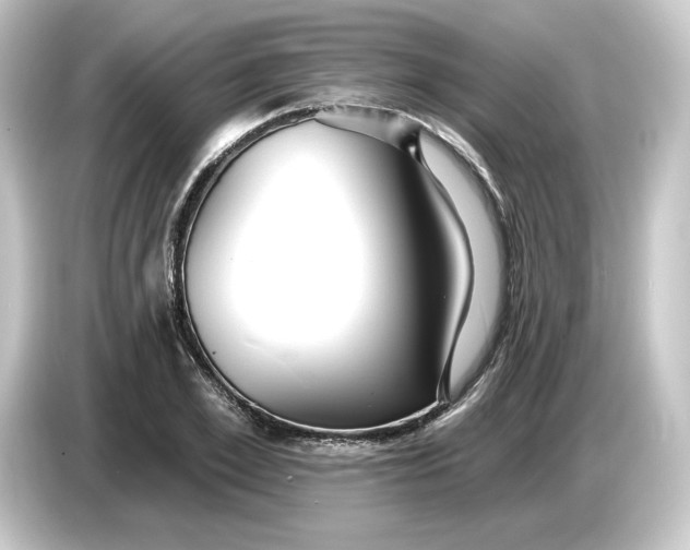 X0000084540981200703161624