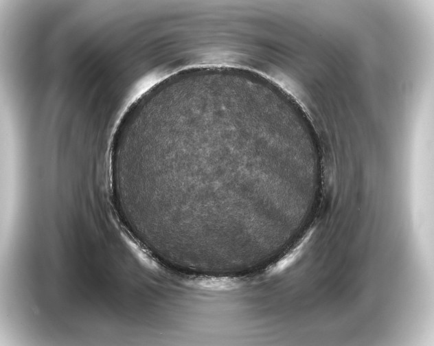 X0000084540982200703161624