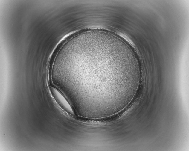 X0000084540984200703161624