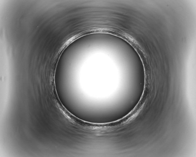 X0000084540985200703161624