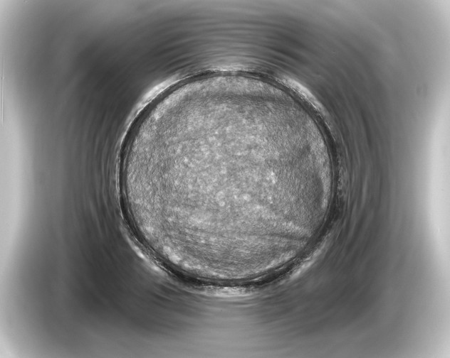 X0000084540986200703161624