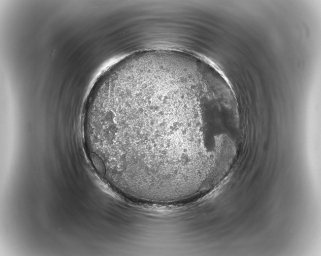 X0000084540987200703161624