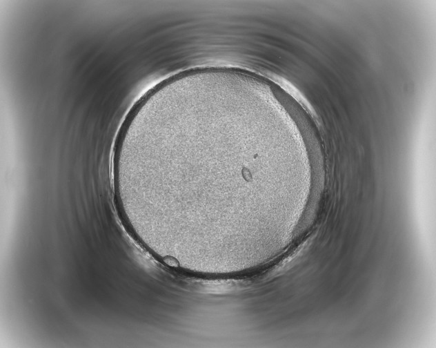 X0000084540988200703161624