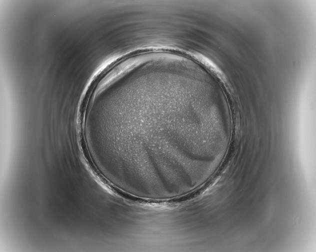 X0000084540990200703161624