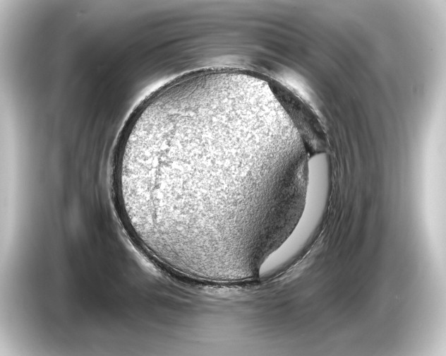 X0000084540991200703161624