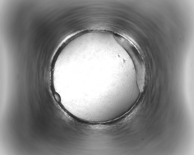 X0000084540992200703161624