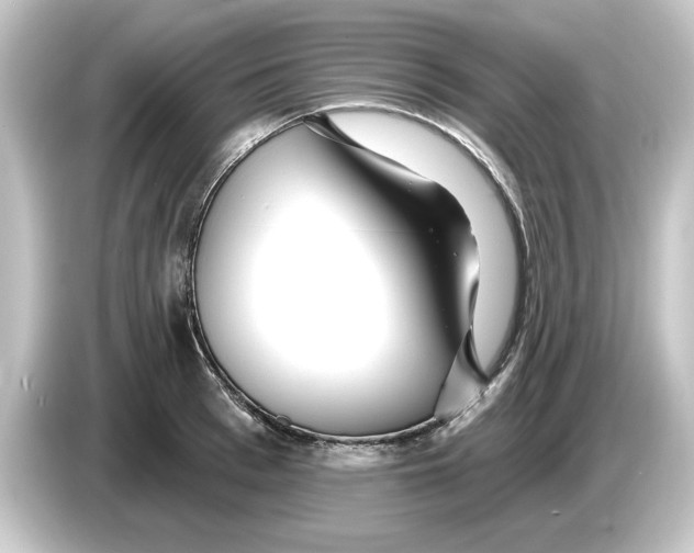 X0000084540993200703161624