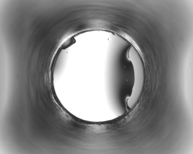 X0000084540996200703161624