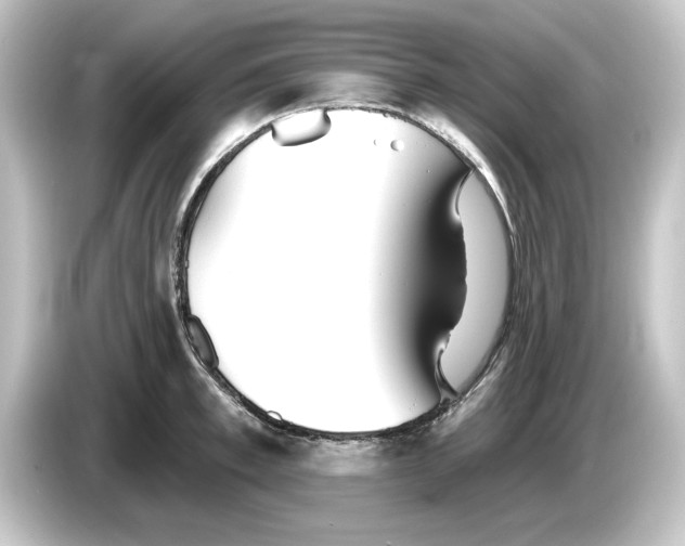 X0000084540997200703161624