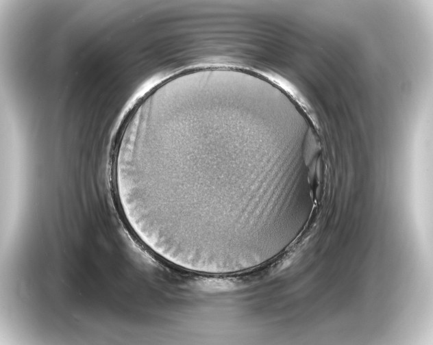 X0000084540998200703161624