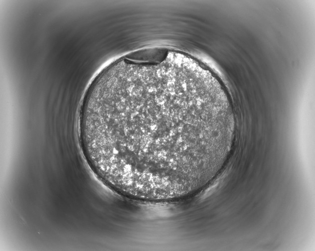 X0000084540999200703161624