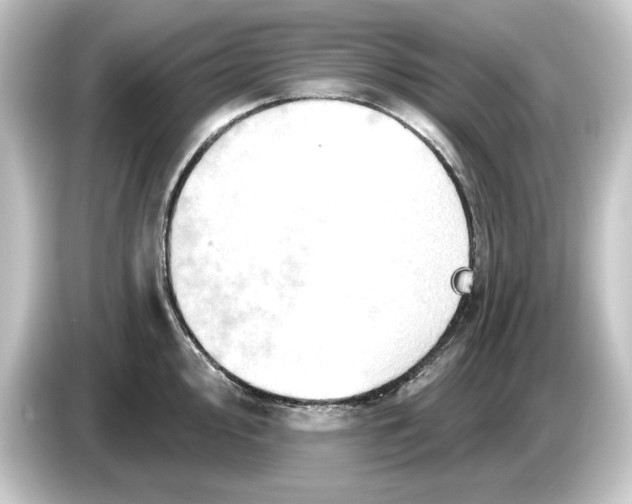 X0000084541000200703161624