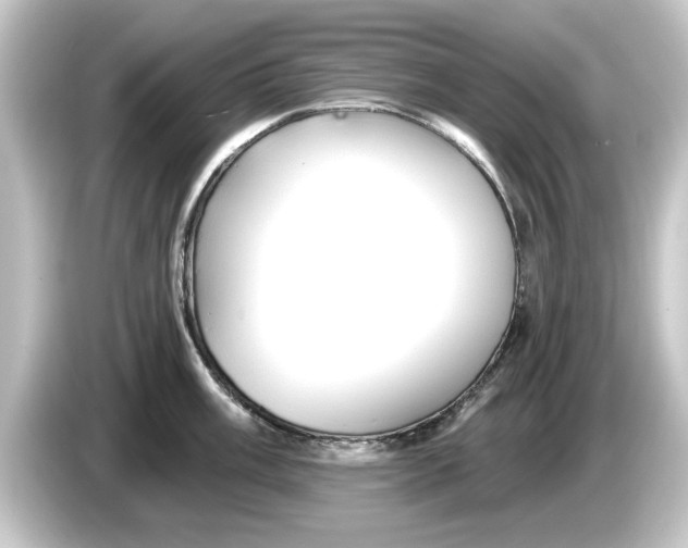 X0000084541003200703161624