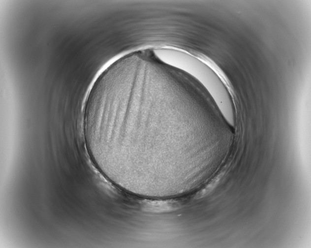 X0000084541004200703161624