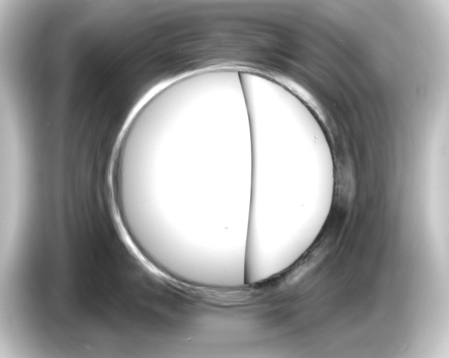 X0000084541007200703161624