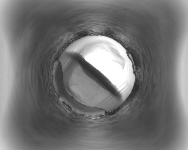 X0000084541009200703161624