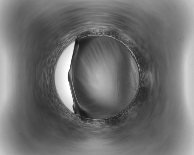 X0000084541013200703161624