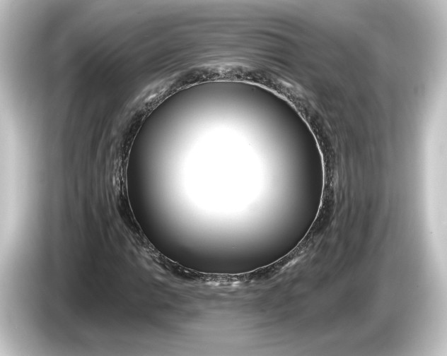 X0000084541014200703161624