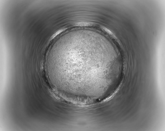 X0000084541017200703161624