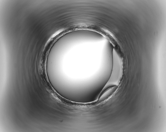 X0000084541018200703161624