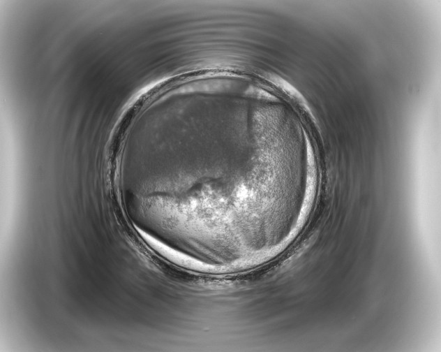 X0000084541019200703161624