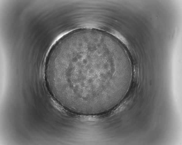 X0000084541020200703161624