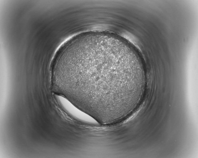 X0000084541021200703161624