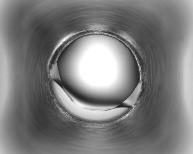 X0000084541022200703161624