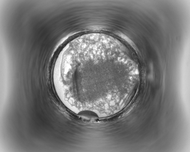 X0000084541023200703161624