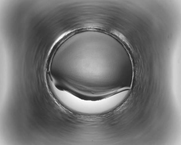 X0000084541024200703161624