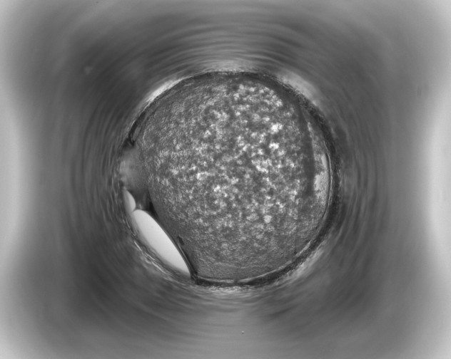 X0000084541025200703161624