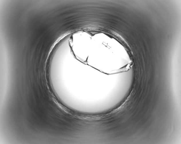 X0000084541026200703161624