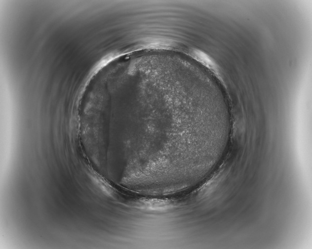 X0000084541027200703161624