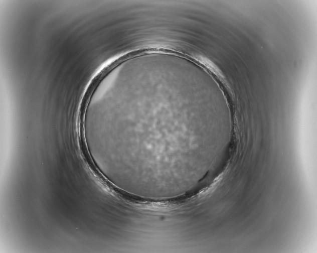 X0000084541028200703161624