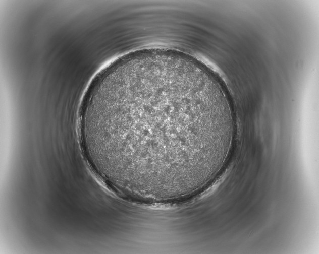 X0000084541029200703161624