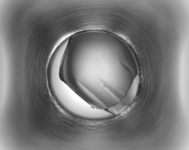 X0000084541030200703161624