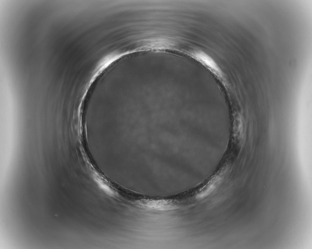 X0000084541031200703161624