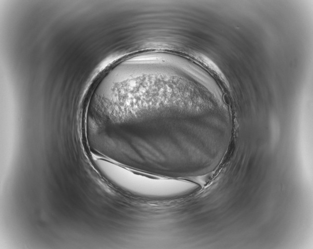 X0000084541035200703161624