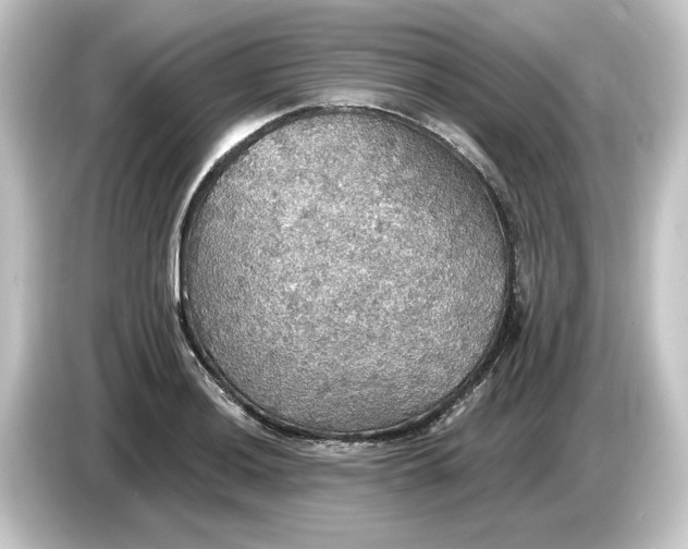 X0000084541036200703161624