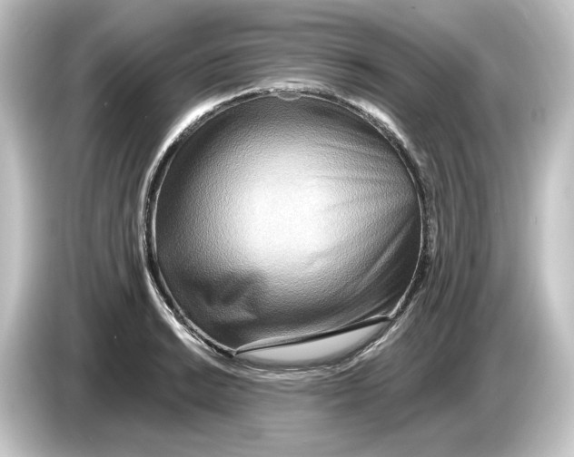 X0000084541038200703161624