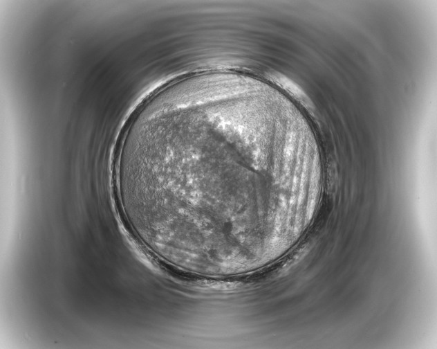 X0000084541039200703161624