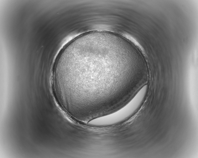 X0000084541040200703161624