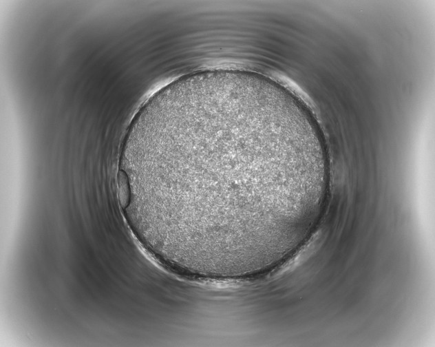 X0000084541041200703161624