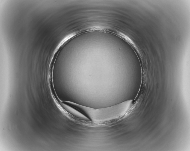 X0000084541042200703161624