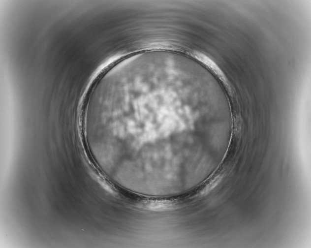 X0000084541043200703161624