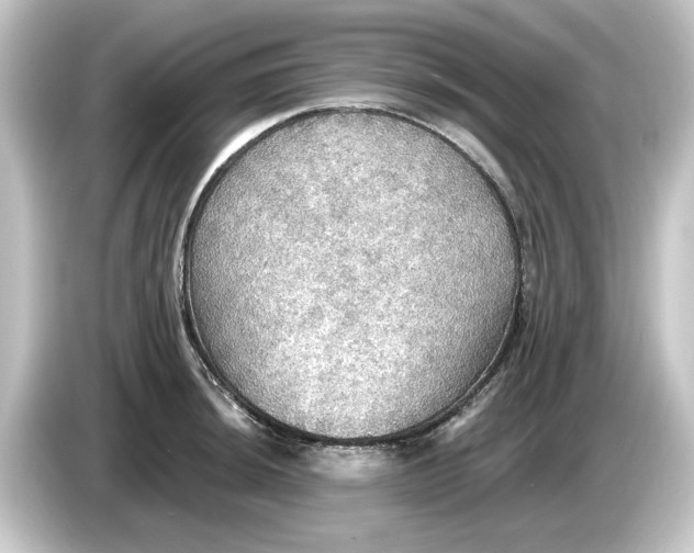 X0000084541044200703161624