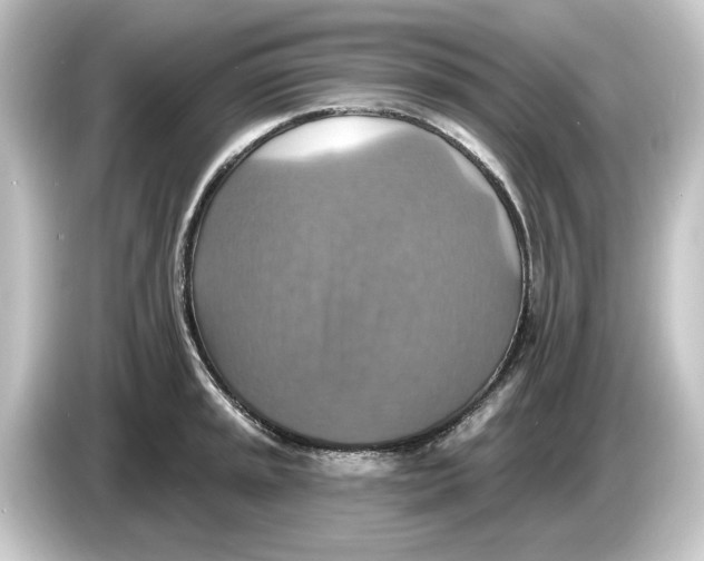 X0000084541045200703161624